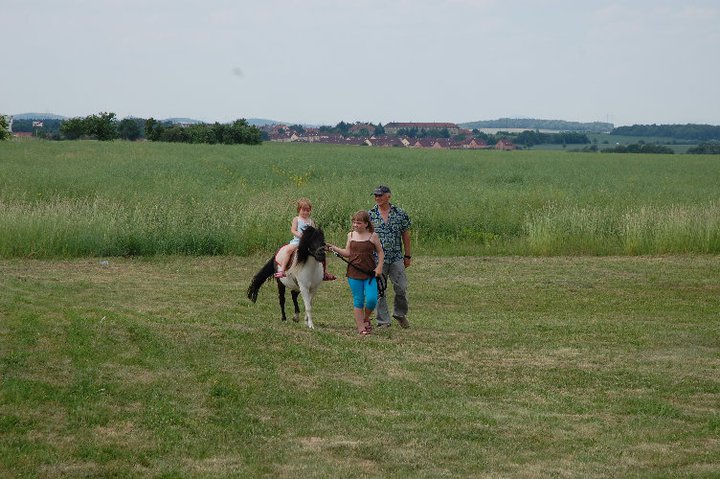 Poníci se dětem moc líbili